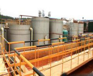 �|��ĳ��ȩ��֬�Uˮ̎���F(xi��n)��