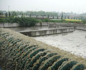 ���ĳ�S�ȸ��}�ȏUˮ̎��